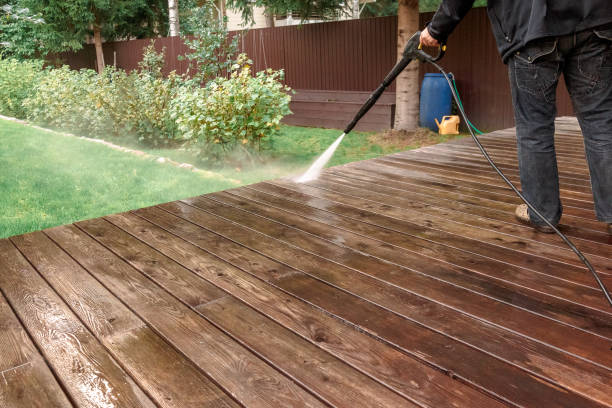 Professional Pressure Washing in Dogtown, CA